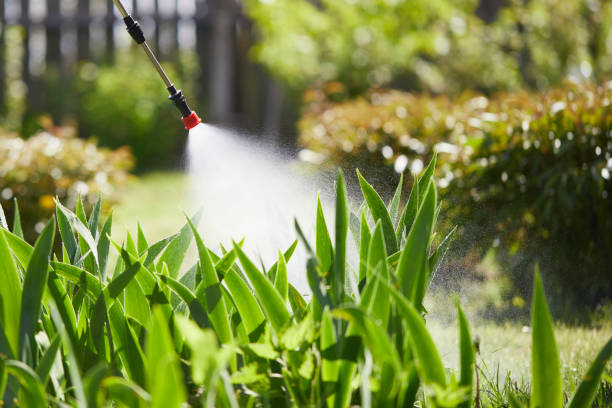 24/7 Emergency Mosquito Control experts in South Creek, WA