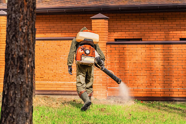 Top rated local Mosquito Control specialists in South Creek, WA